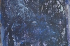 Forest-2022